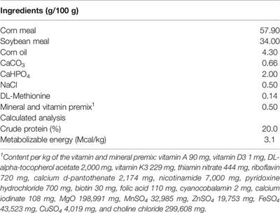 Effects of a Dried Neem Leaf Extract on the Growth Performance, Meat Yield and Meat Quality in Skeletal Muscle of Broiler Chickens Under High-Temperature Conditions